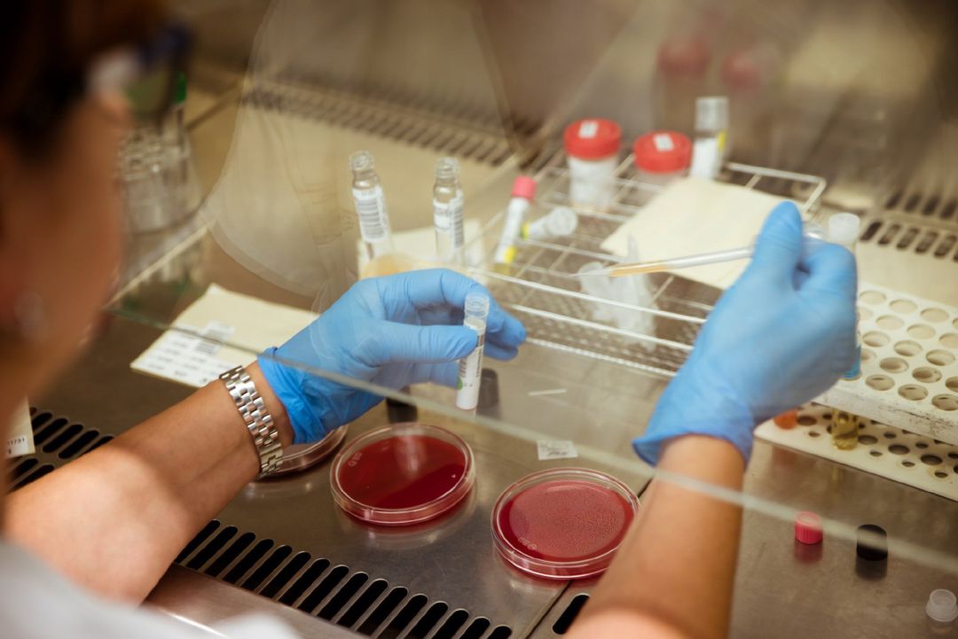 Los más pequeños aprenderán durante esta crisis experimentos científicos. Los más pequeños aprenderán durante esta crisis experimentos científicos.