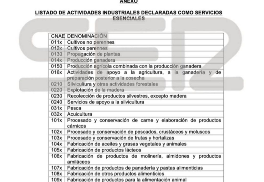 Borrador que adelantó la Cadena SER con las posibles actividades consideradas esenciales. Borrador que adelantó la Cadena SER con las posibles actividades consideradas esenciales.