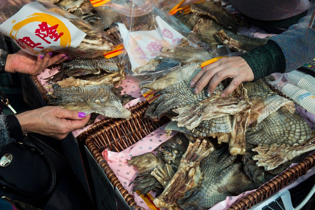 Piel de cocodrilo a la venta en el mercado de Kowloon Piel de cocodrilo a la venta en el mercado de Kowloon
