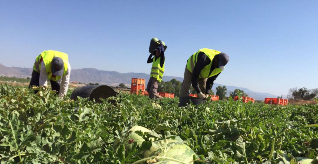 Agricultura Agricultura