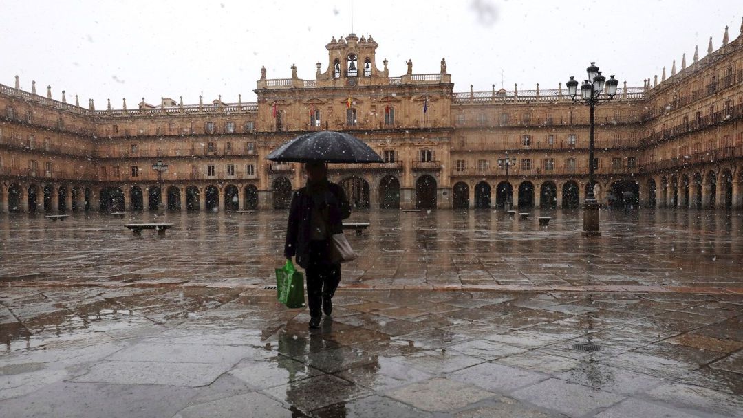 Plaza Mayor de Salamanca. Plaza Mayor de Salamanca.