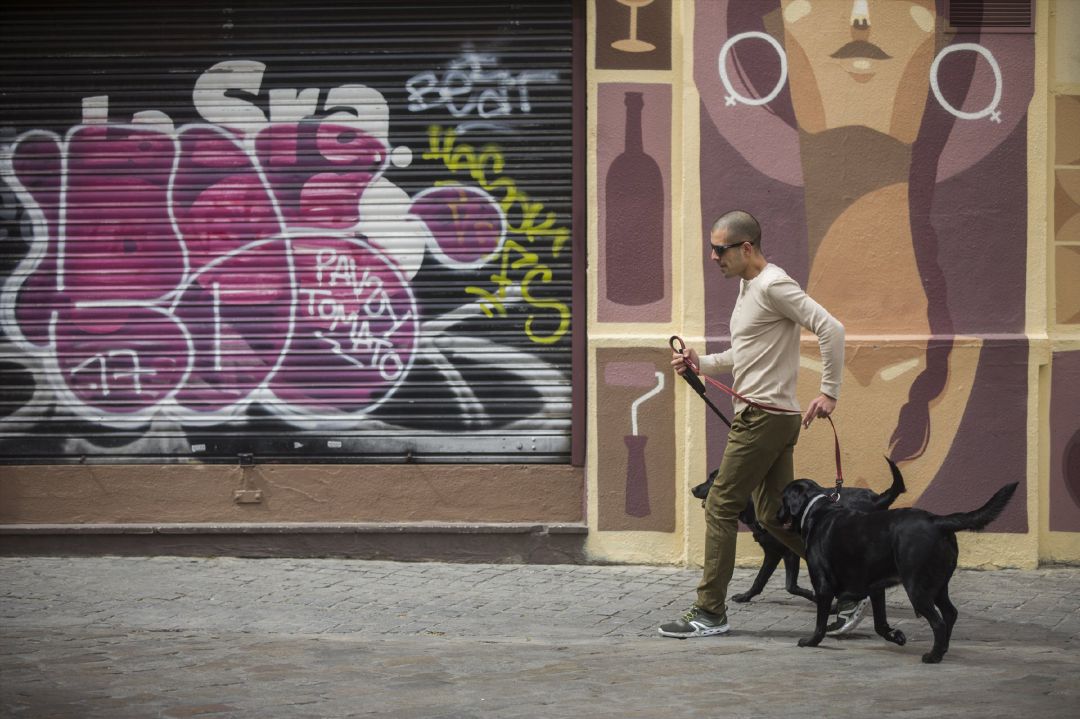 Pasear Perros Coronavirus Pasear Perros Coronavirus