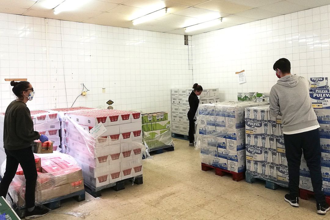 Recogida de alimentos. Recogida de alimentos.