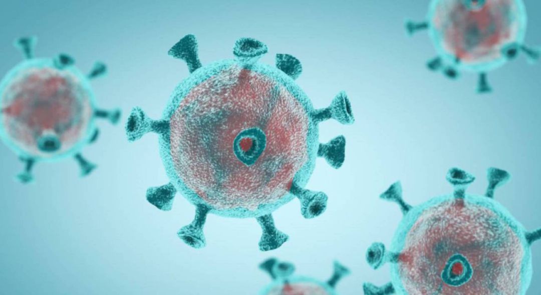 Coronavirus Coronavirus