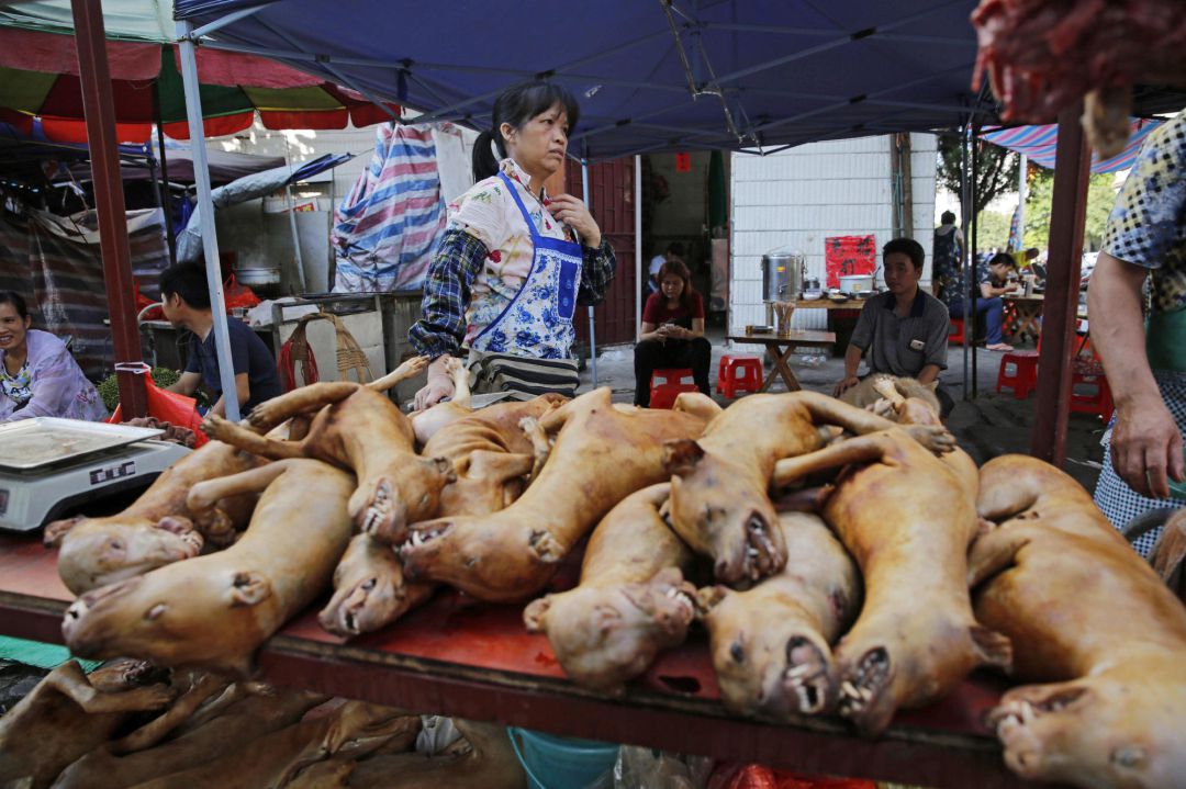 Carne de perro a la venta durante el Festival de la Carme de Perro de la provincia de Guangxi Carne de perro a la venta durante el Festival de la Carme de Perro de la provincia de Guangxi