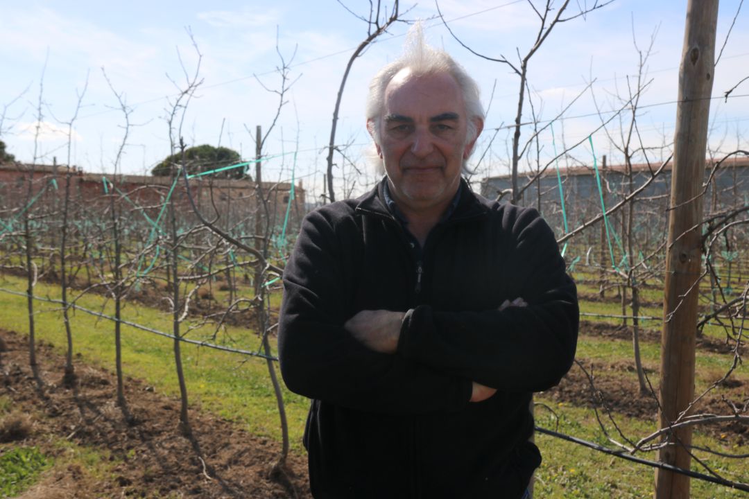 Narcís Poch en un camp de pomeres. Narcís Poch en un camp de pomeres.