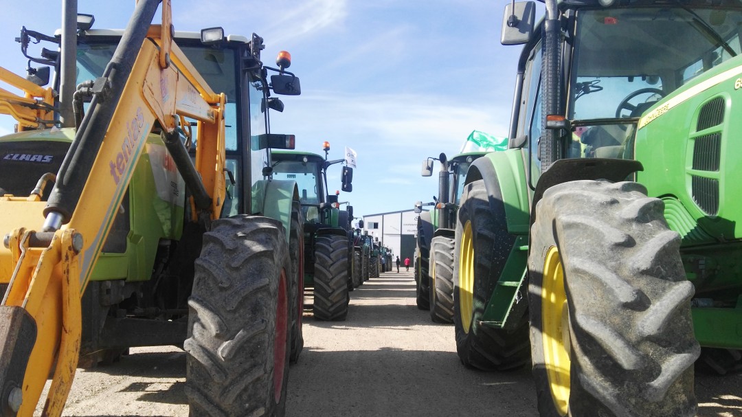 El Ayuntamiento de Jerez canalizará la oferta y demanda de mano de obra en el sector agrario en la zona