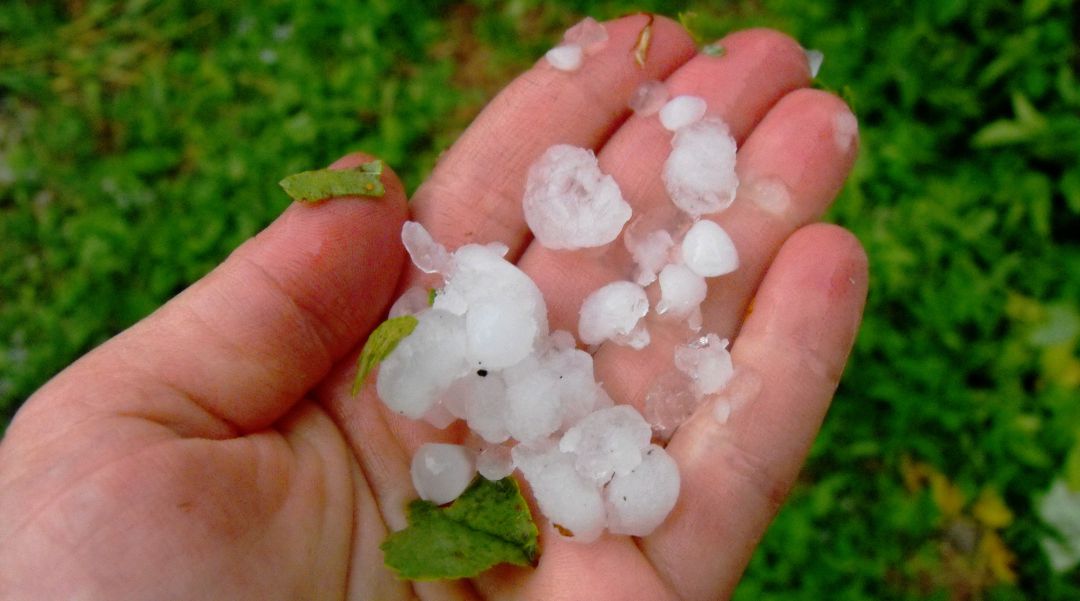 Granizo de pequeño tamaño Granizo de pequeño tamaño