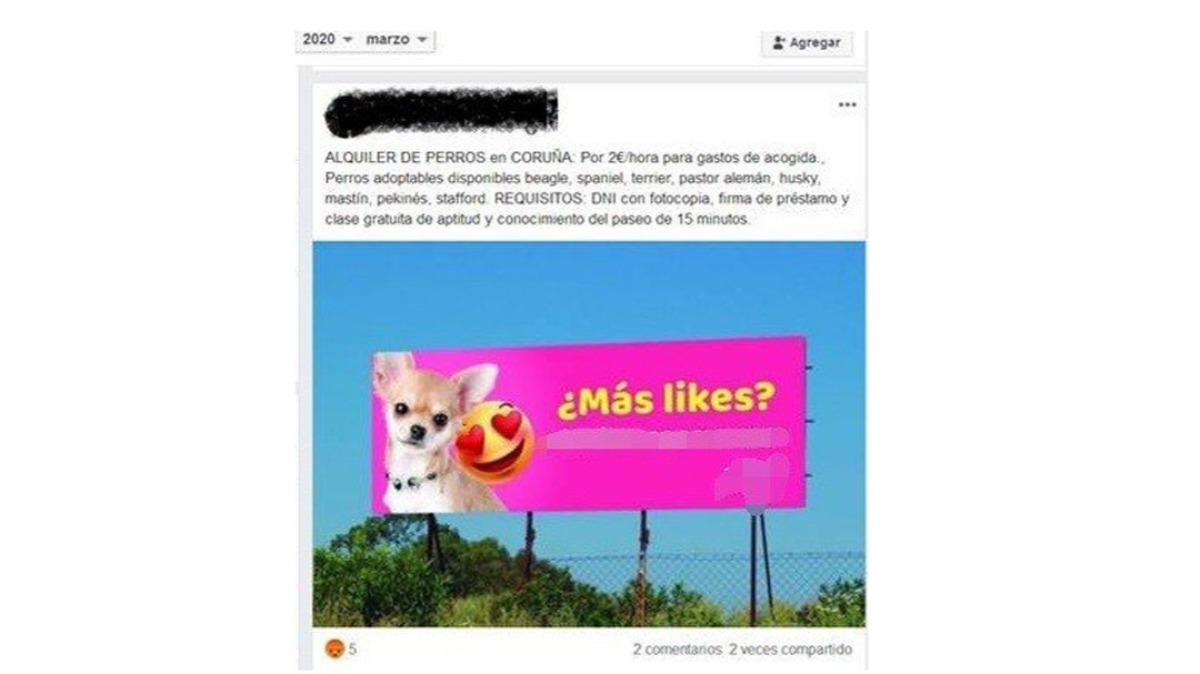 Animalistas denuncian un nuevo anuncio del hombre que alquila perros