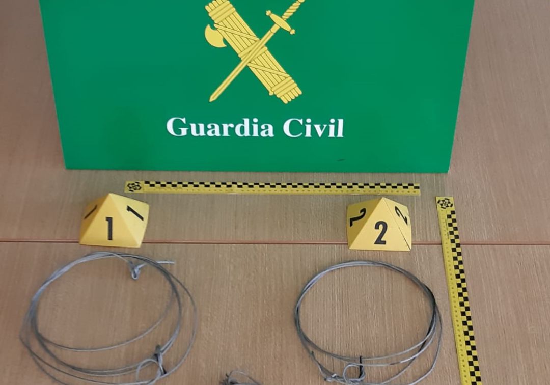 Pillan a un vecino de Teverga colocando lazos de caza en una zona osera y quebrantando el estado de alarma