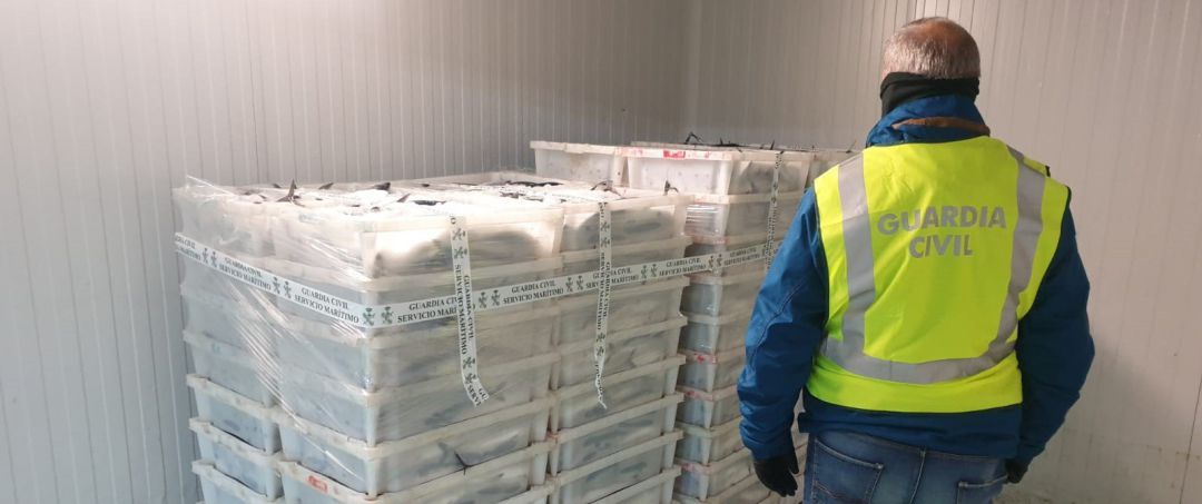 La Guardia Civil decomisa más de 2.000 kilos de caballa en el puerto de A Coruña La Guardia Civil decomisa más de 2.000 kilos de caballa en el puerto de A Coruña