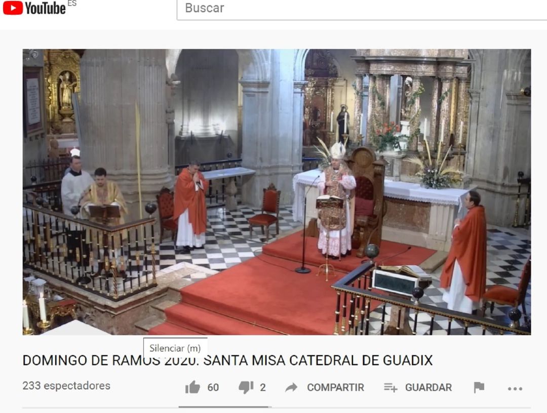 Misa desde la Catedral de Guadix. Misa desde la Catedral de Guadix.