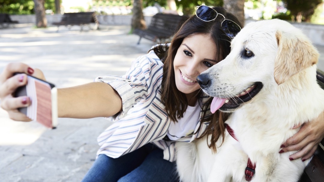 Multadas por hacerse selfis en grupo con sus perros en pleno confinamiento