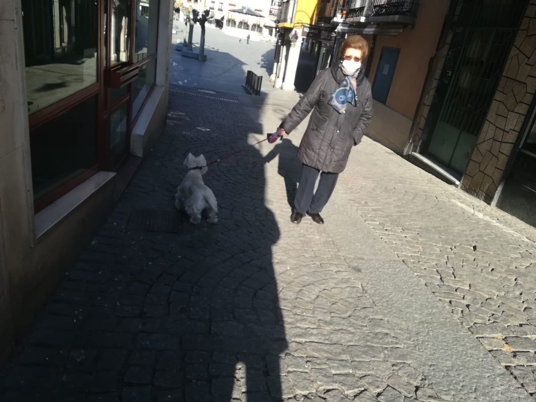 La mayor parte de los dueños de mascotas cumplen responsablemente con las medidas de seguridad La mayor parte de los dueños de mascotas cumplen responsablemente con las medidas de seguridad