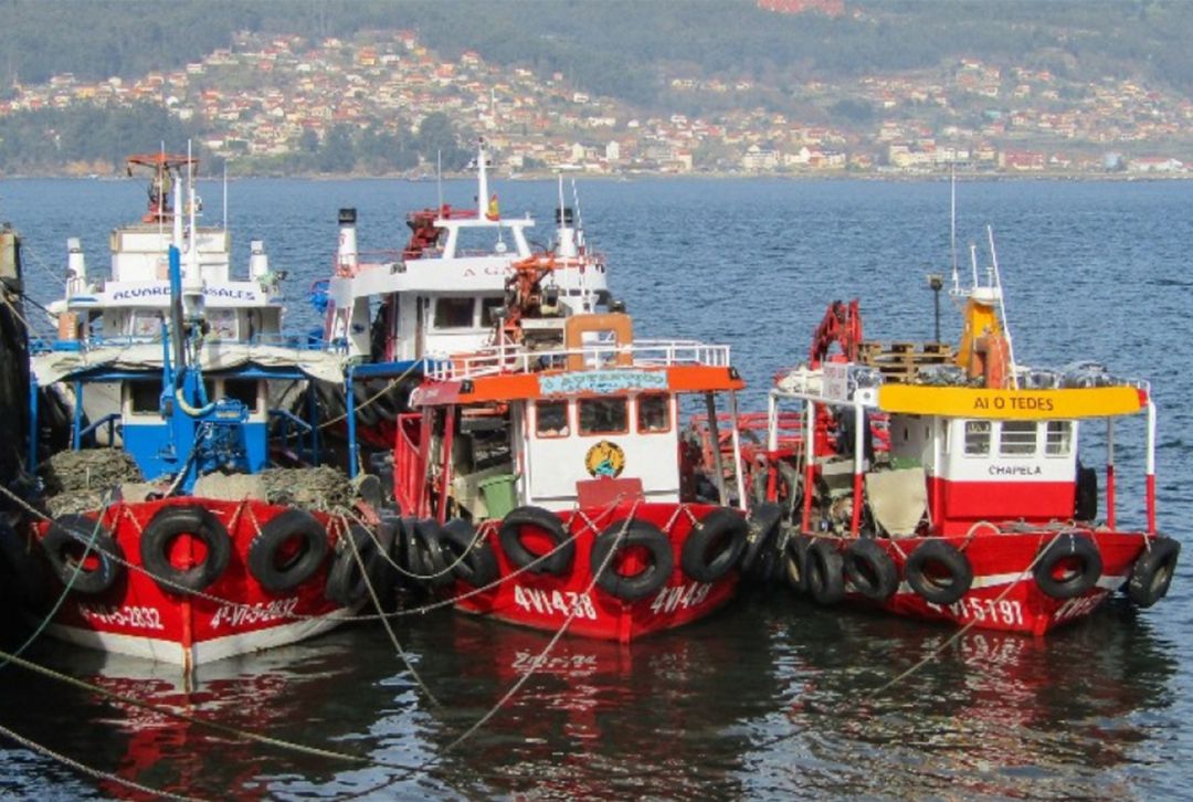 Barcos pesqueros. Foto de recurso Barcos pesqueros. Foto de recurso