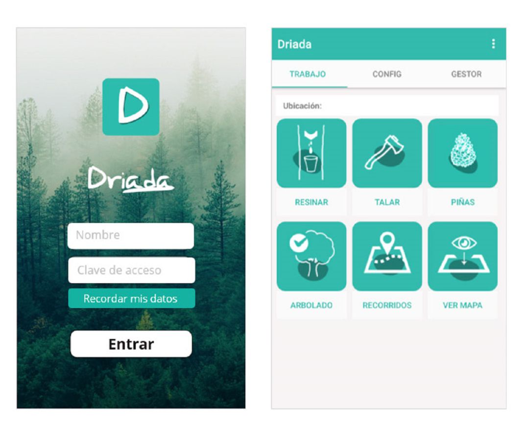 El proyecto segoviano Driada, premiado a nivel internacional El proyecto segoviano Driada, premiado a nivel internacional