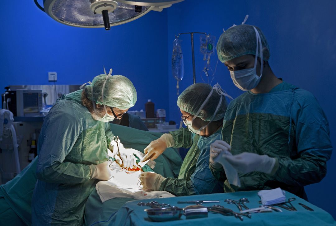 Los partos en los hospitales valencianos se realizarán sin la presencia de acompañantes para evitar contagios de coronavirus Los partos en los hospitales valencianos se realizarán sin la presencia de acompañantes para evitar contagios de coronavirus