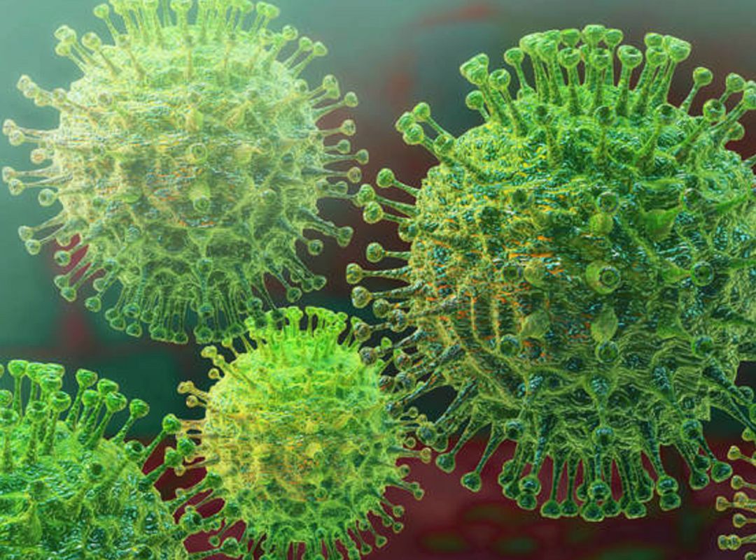 Coronavirus. Coronavirus.