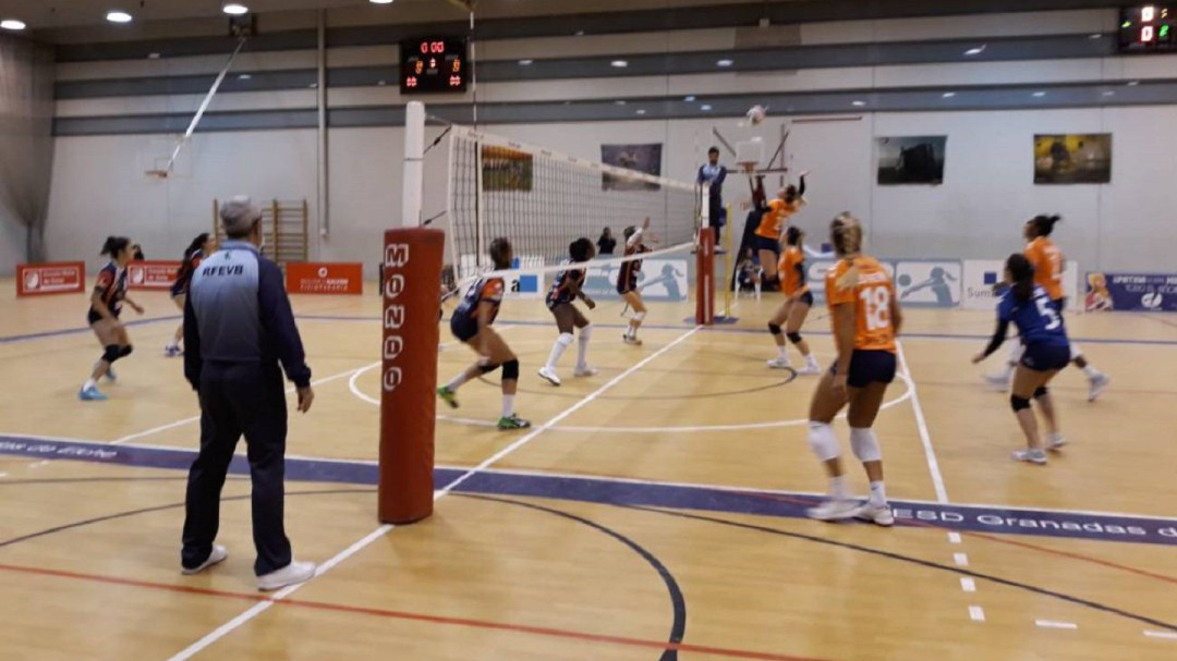Fin a la temporada para el femenino del Club Voleibol Elche tras la decisión de la Federación