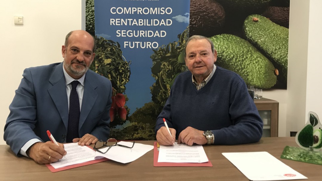 El Trops Málaga pide que acabe la competición