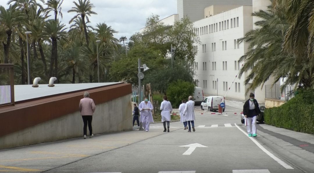Hospital General de Elche Hospital General de Elche