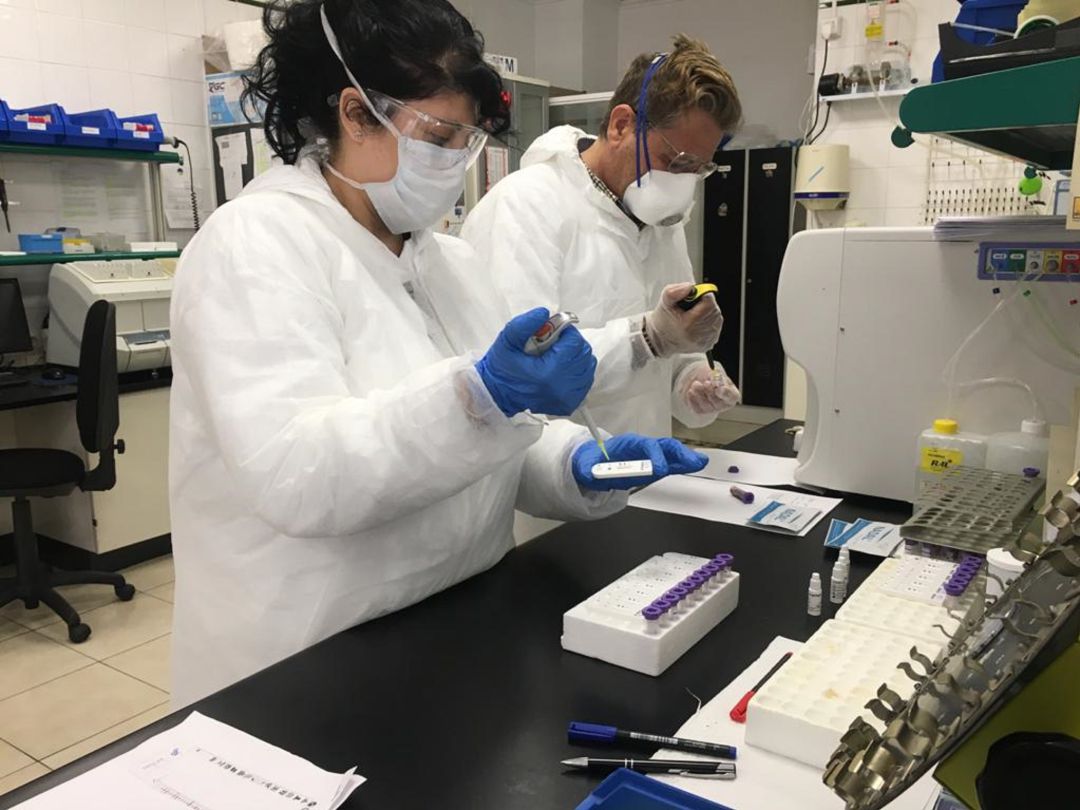 El equipo del laboratorio de Elda realizando las pruebas de coronavirus El equipo del laboratorio de Elda realizando las pruebas de coronavirus