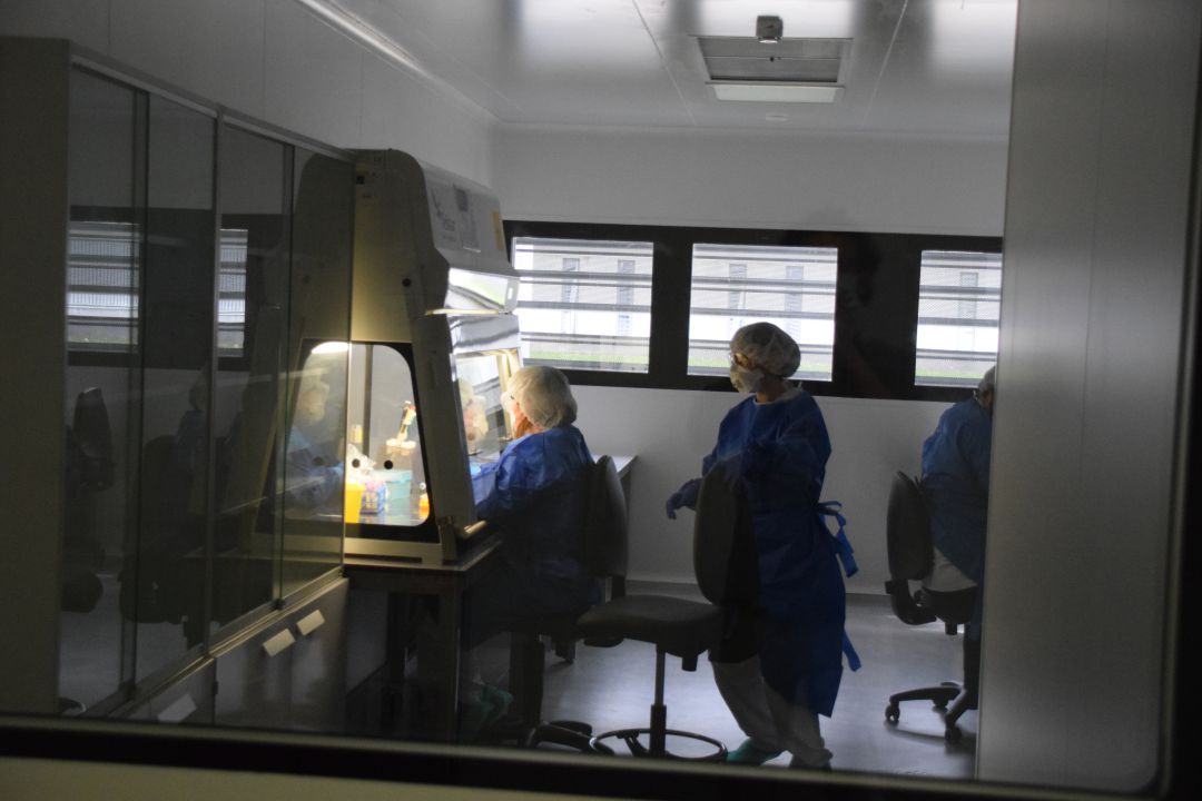 Científicos del País Vasco trabajan en un test alternativo de RT-PCR para detección de COVID-19 Científicos del País Vasco trabajan en un test alternativo de RT-PCR para detección de COVID-19