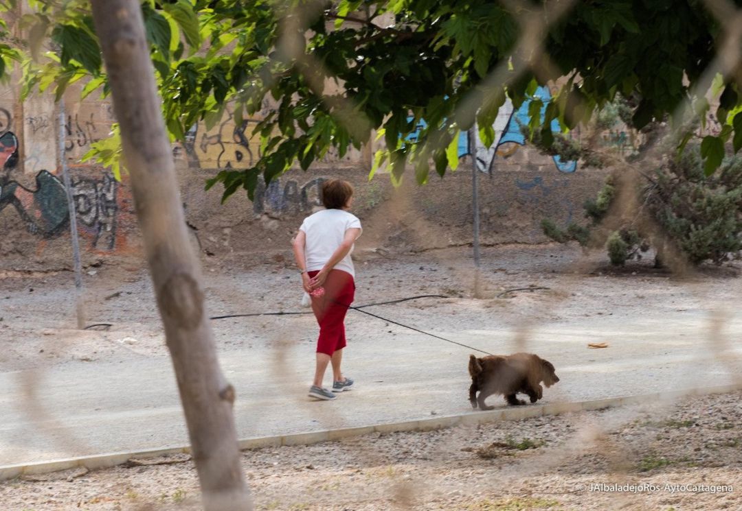 Una mujer paseando al perro por Sevilla Una mujer paseando al perro por Sevilla