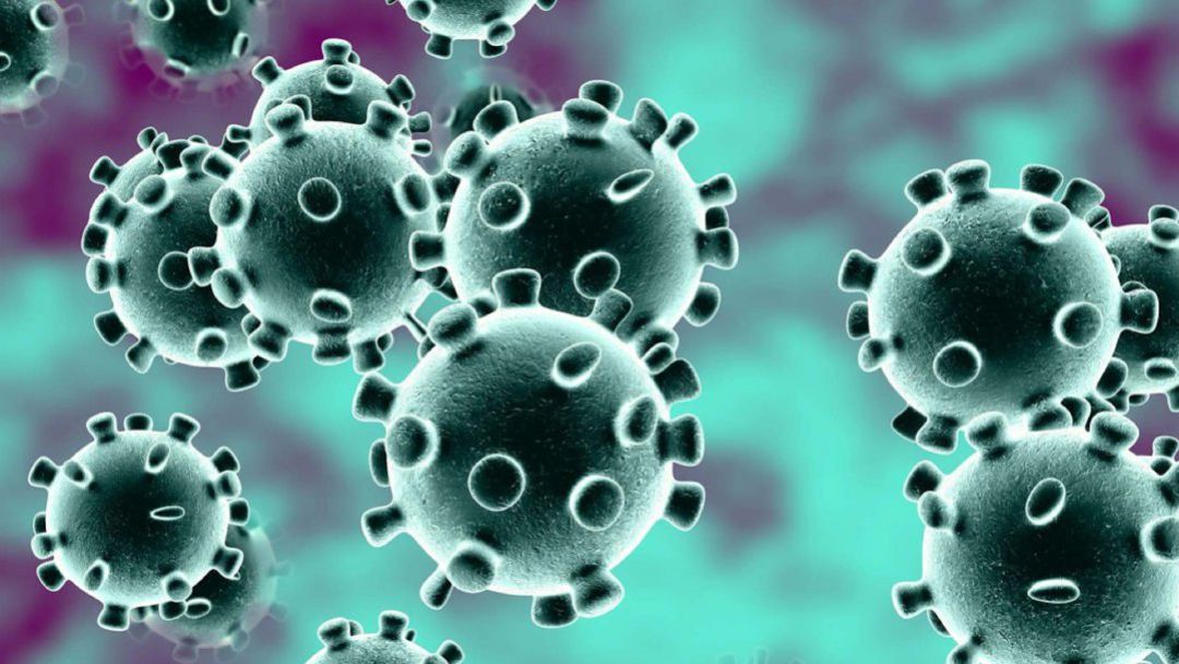 Nuevo caso de Coronavirus en la comarca de Guadix Nuevo caso de Coronavirus en la comarca de Guadix