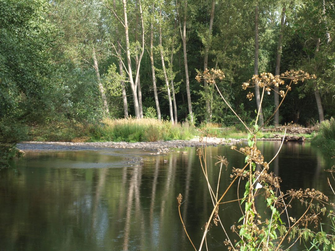 Río Burbia Río Burbia