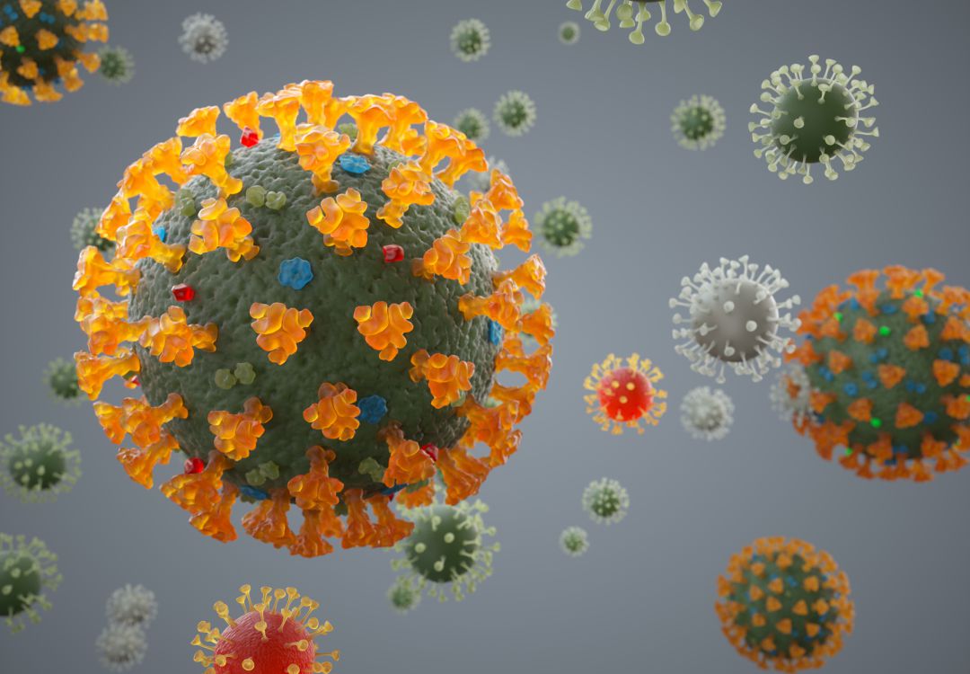 Coronavirus Coronavirus