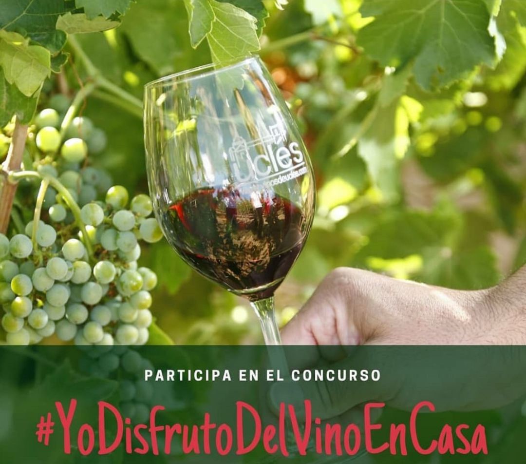 Imagen del concurso #Yodisfrutodelvinoencasa Imagen del concurso #Yodisfrutodelvinoencasa
