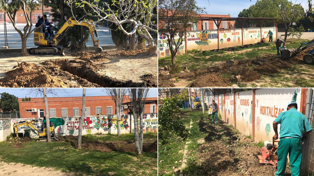 Huerto escolar en el colegio Al-kazar de Los Alcázares. Huerto escolar en el colegio Al-kazar de Los Alcázares.