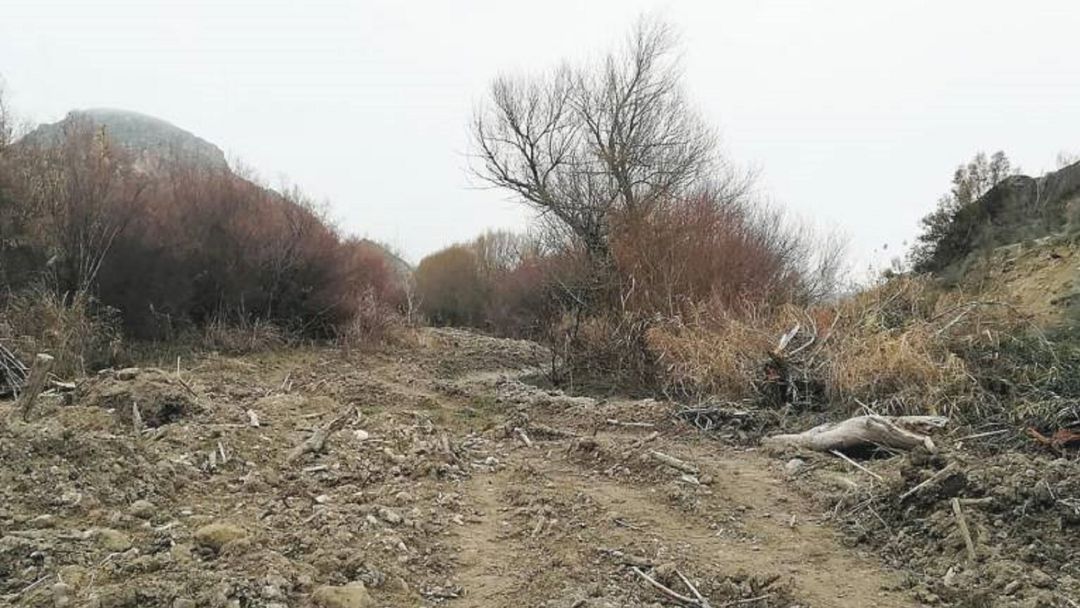 Cortes de vegetación practicados en el entorno del Guadiana Menor y de la finca en la que se pretende construir la macrogranja de cerdos. Cortes de vegetación practicados en el entorno del Guadiana Menor y de la finca en la que se pretende construir la macrogranja de cerdos.