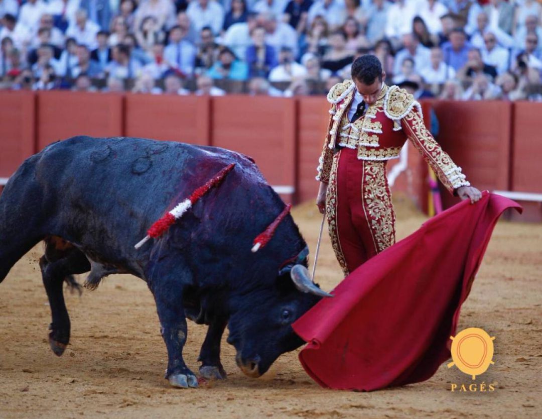 Pepe Moral en uno de los buenos naturales que le enjaretó al primer toro de su lote, tercero de la tarde, en la corrida de Miura del pasado año Pepe Moral en uno de los buenos naturales que le enjaretó al primer toro de su lote, tercero de la tarde, en la corrida de Miura del pasado año
