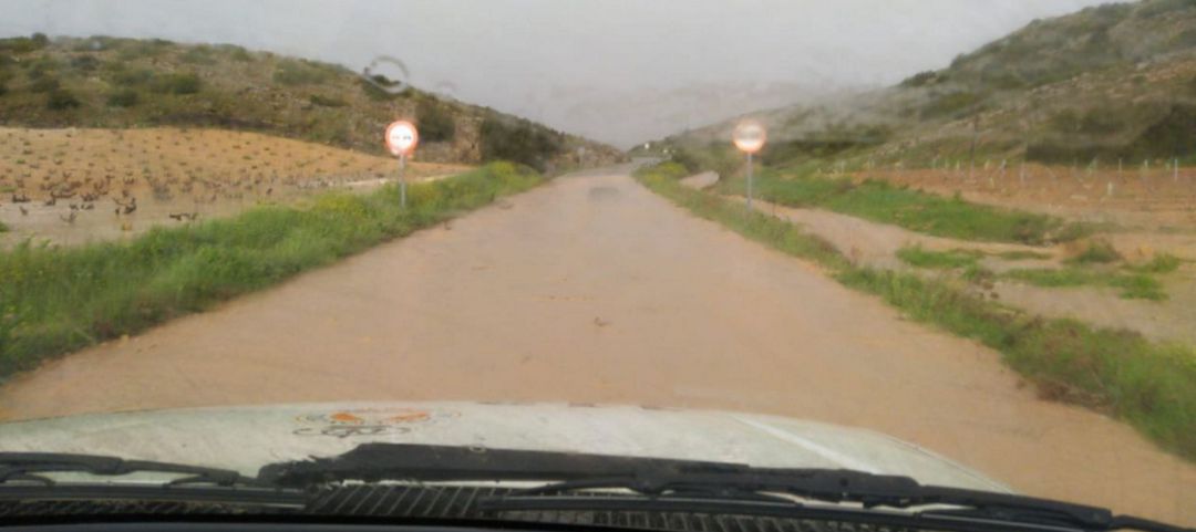 Imagen de un camino rural en Montealegre este domingo Imagen de un camino rural en Montealegre este domingo