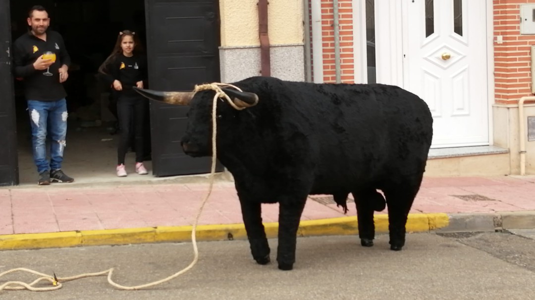 Una Veguilla insólita