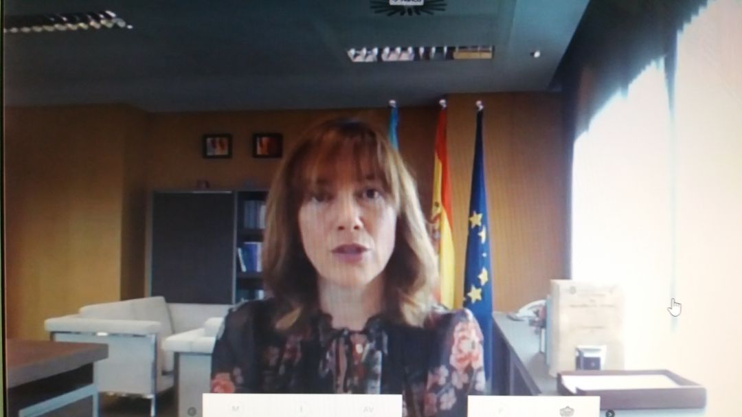 La consejera participó en la videoconferencia con los grupos parlmentarios desde su despacho. La consejera participó en la videoconferencia con los grupos parlmentarios desde su despacho.
