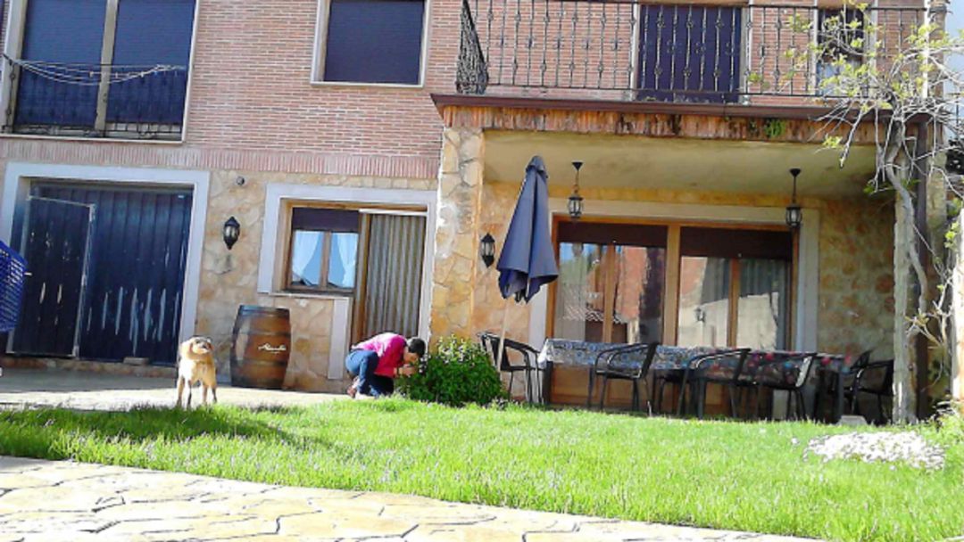 Casa rural los Tulipanes Casa rural los Tulipanes