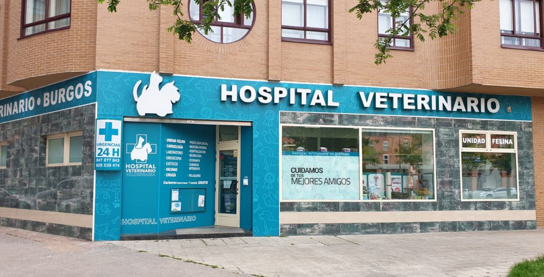 Valderrama Hospital Veterinario Valderrama Hospital Veterinario