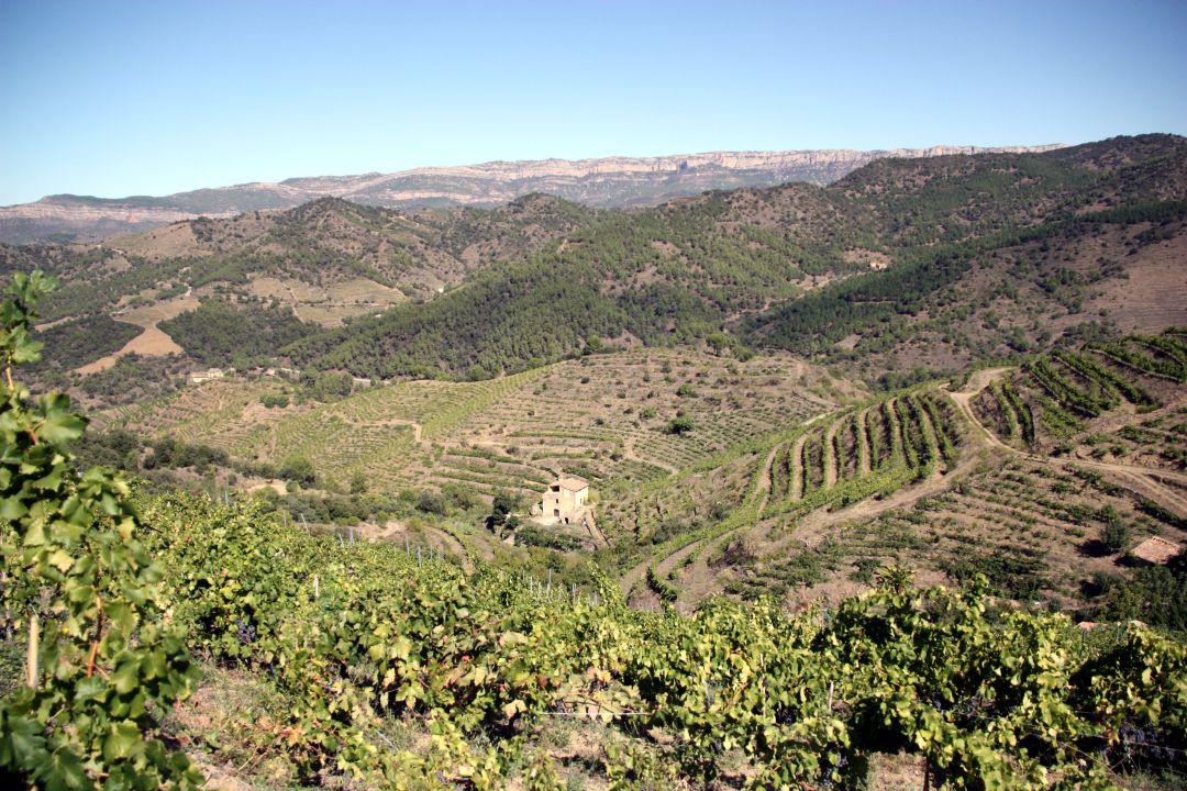 Priorat. Priorat.