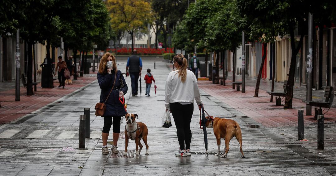 Paseos de adultos con niños y otros con perros en la calle Asunción de Sevilla, este lunes segundo día en el que casi seis millones de niños menores de 14 años pueden salir a la calle una hora al día Paseos de adultos con niños y otros con perros en la calle Asunción de Sevilla, este lunes segundo día en el que casi seis millones de niños menores de 14 años pueden salir a la calle una hora al día