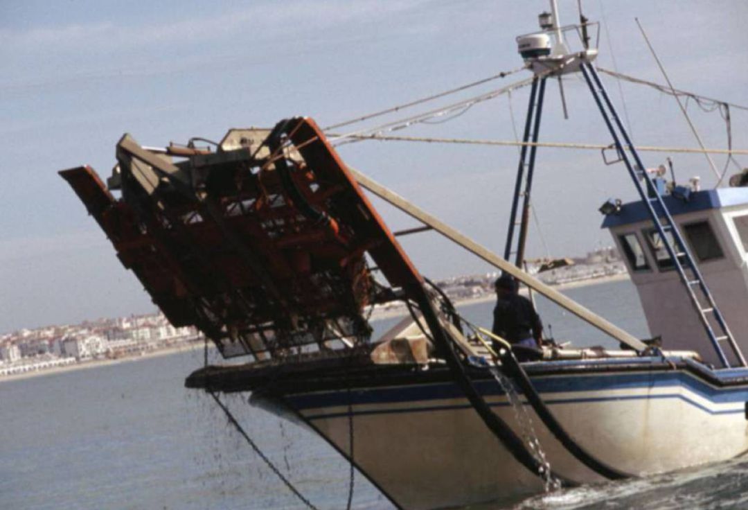 Uno de los barcos que faena en Sanlúcar de Barrameda Uno de los barcos que faena en Sanlúcar de Barrameda