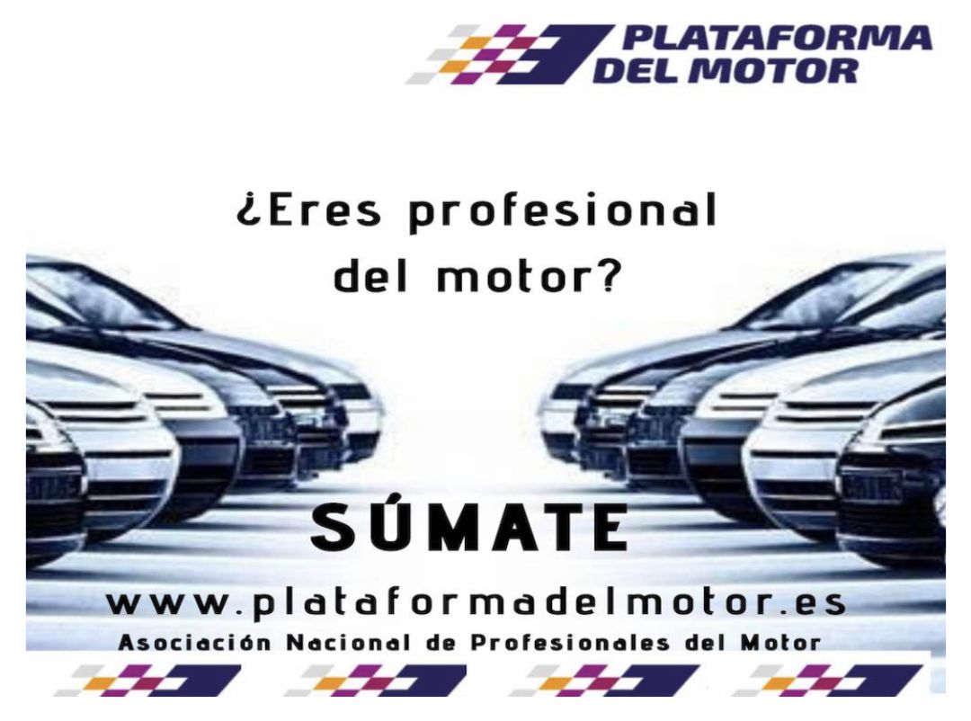 El portal profesional se ha activado en los últimos días El portal profesional se ha activado en los últimos días