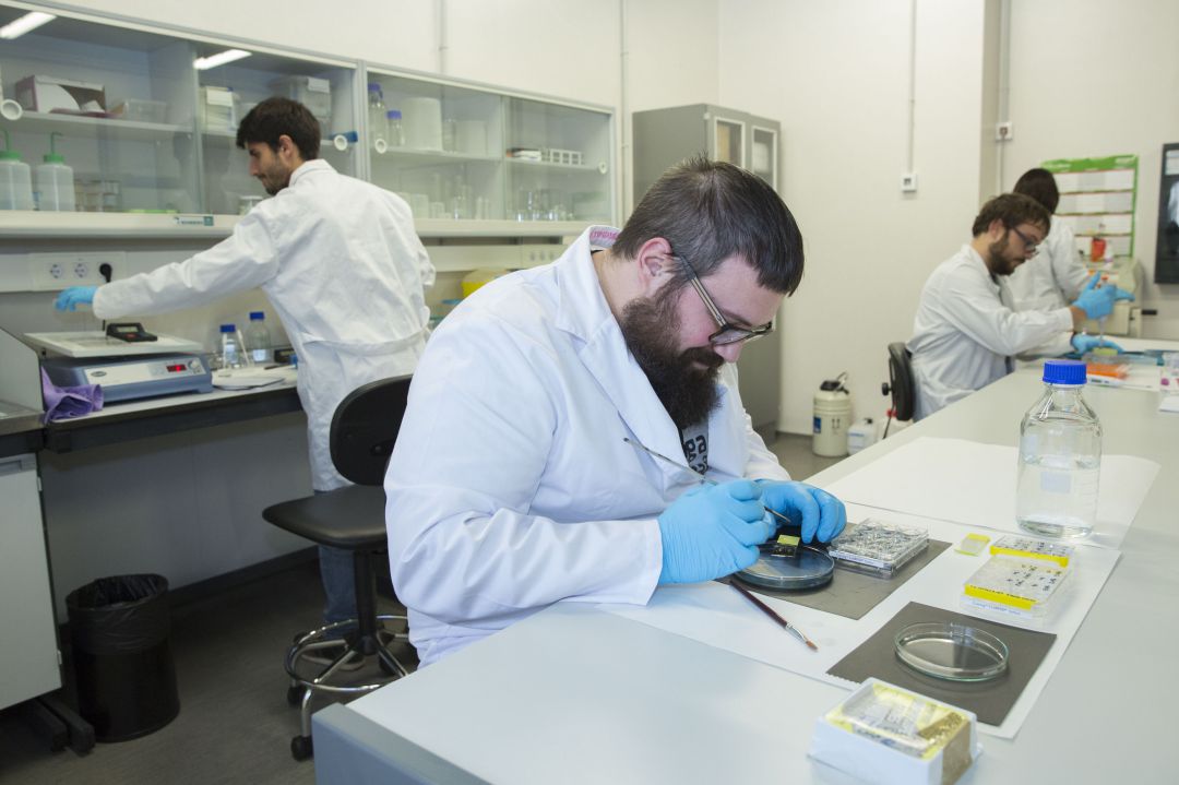 La universidad ha conseguido la calificación de alto rendimiento en siete de los nueve indicadores. La universidad ha conseguido la calificación de alto rendimiento en siete de los nueve indicadores.