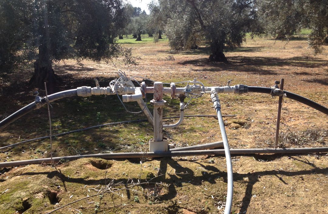 Instalación de riego en un olivar. Instalación de riego en un olivar.