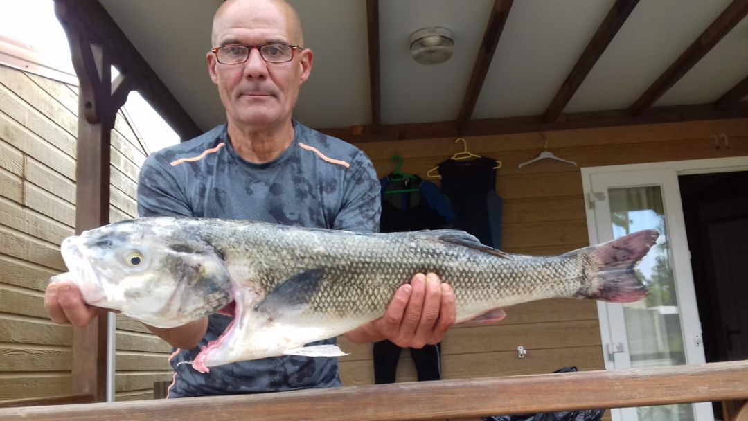 Todo preparado con cautela para que el 25 de mayo se puede reanudar la temporada de pesca fluvial Todo preparado con cautela para que el 25 de mayo se puede reanudar la temporada de pesca fluvial