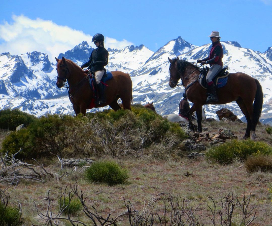 Una de las actividades que se ofertan son las excursiones a caballo Una de las actividades que se ofertan son las excursiones a caballo