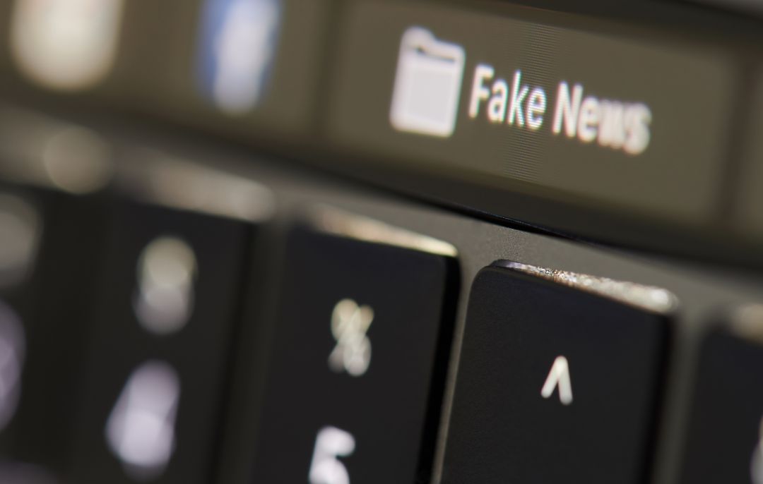 La lucha contra la 'fake news' de la plataforma X-net. La lucha contra la 'fake news' de la plataforma X-net.