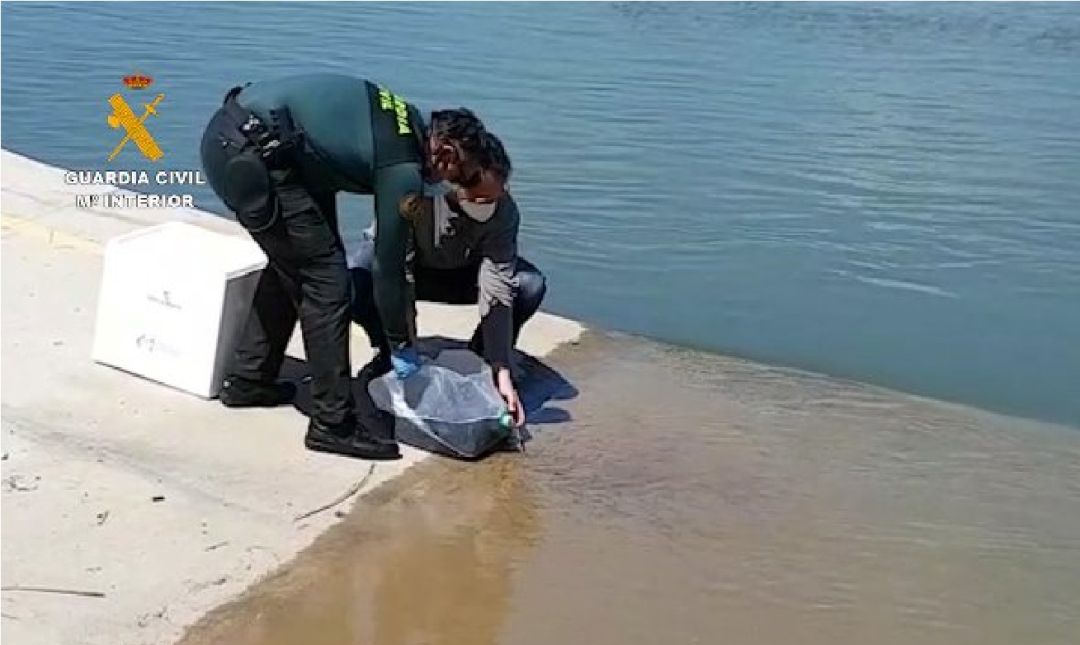 Incautación de pesca ilegal Incautación de pesca ilegal